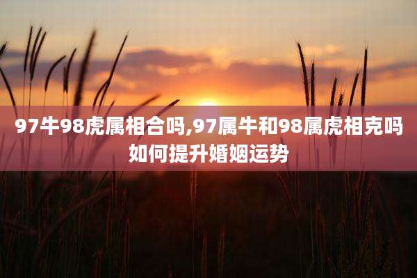 97牛98虎属相合吗,97属牛和98属虎相克吗如何提升婚姻运势