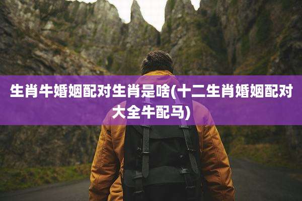生肖牛婚姻配对生肖是啥(十二生肖婚姻配对大全牛配马)