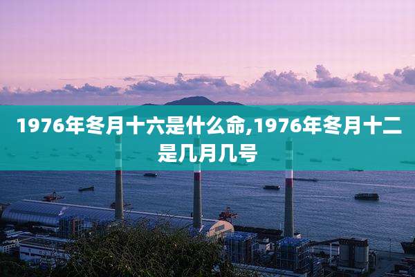 1976年冬月十六是什么命,1976年冬月十二是几月几号