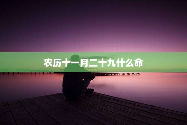 农历十一月二十九什么命