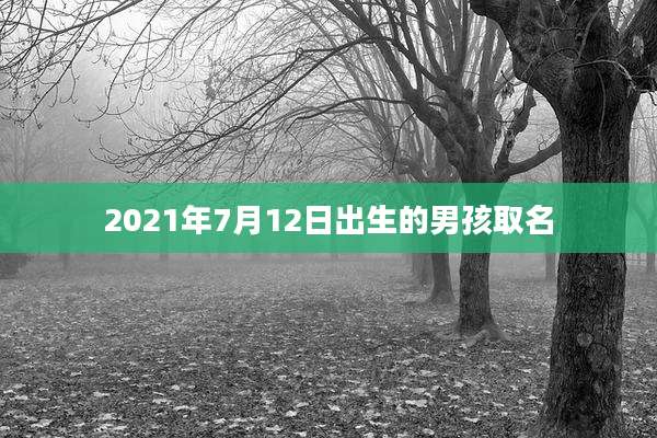 2021年7月12日出生的男孩取名