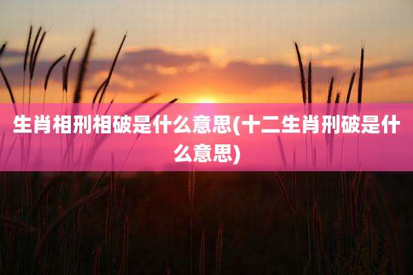 生肖相刑相破是什么意思(十二生肖刑破是什么意思)