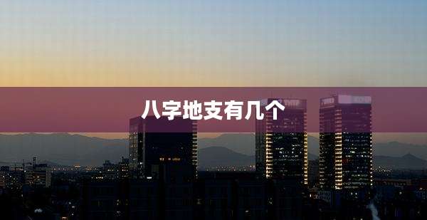 八字地支有几个