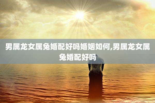 男属龙女属兔婚配好吗婚姻如何,男属龙女属兔婚配好吗
