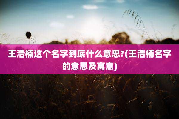 王浩楠这个名字到底什么意思?(王浩楠名字的意思及寓意)