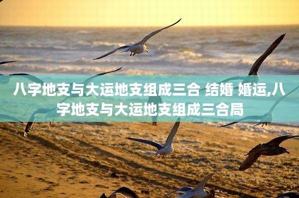 八字地支与大运地支组成三合 结婚 婚运,八字地支与大运地支组成三合局