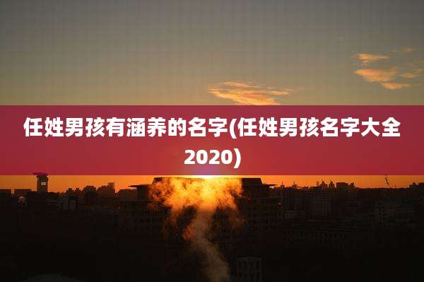 任姓男孩有涵养的名字(任姓男孩名字大全2020)