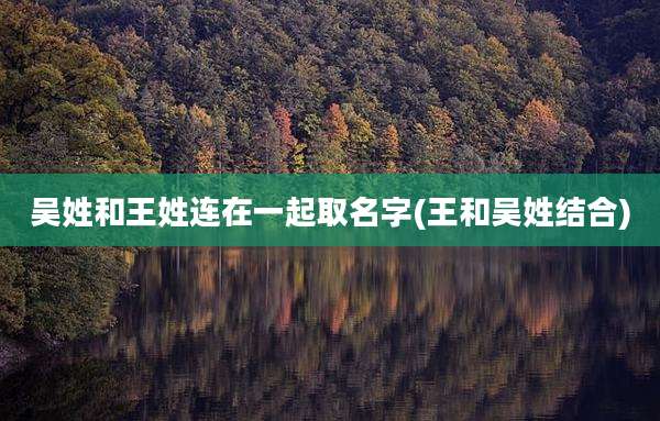 吴姓和王姓连在一起取名字(王和吴姓结合)