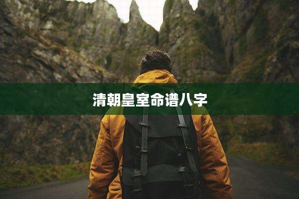 清朝皇室命谱八字