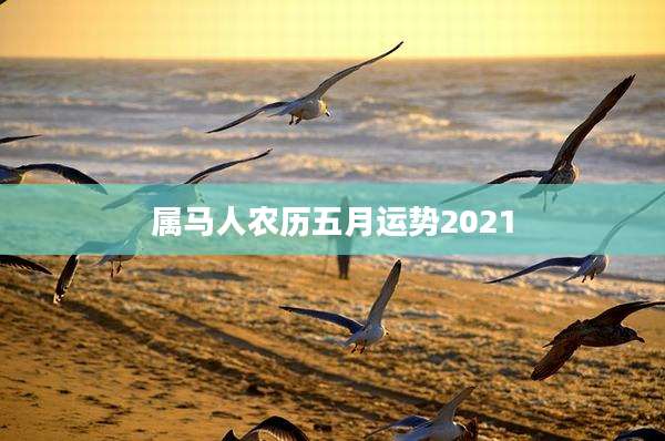 属马人农历五月运势2021