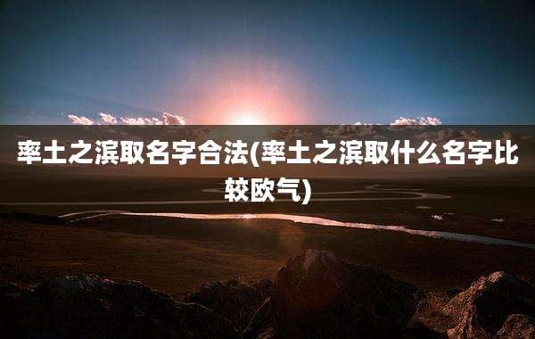 率土之滨取名字合法(率土之滨取什么名字比较欧气)