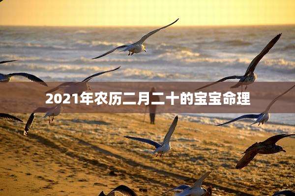 2021年农历二月二十的宝宝命理
