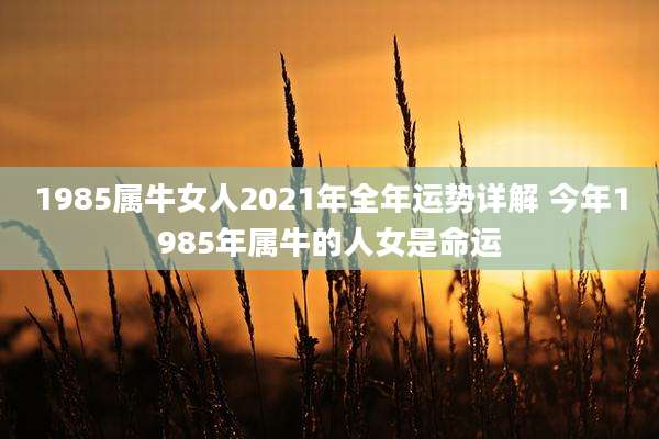 1985属牛女人2021年全年运势详解 今年1985年属牛的人女是命运