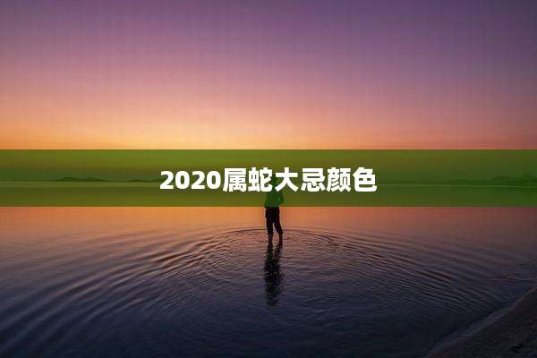 2020属蛇大忌颜色