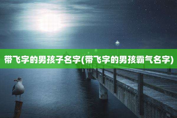 带飞字的男孩子名字(带飞字的男孩霸气名字)