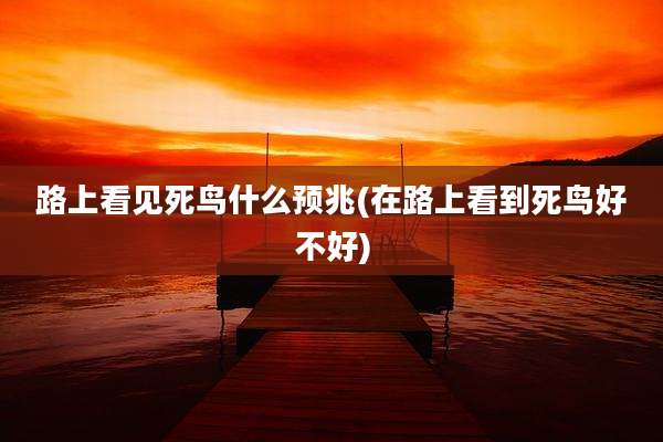 路上看见死鸟什么预兆(在路上看到死鸟好不好)