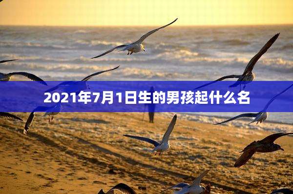 2021年7月1日生的男孩起什么名