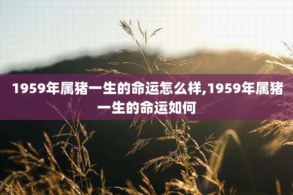 1959年属猪一生的命运怎么样,1959年属猪一生的命运如何