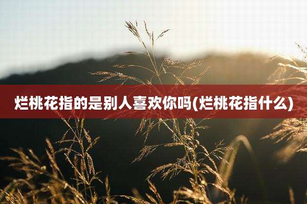烂桃花指的是别人喜欢你吗(烂桃花指什么)