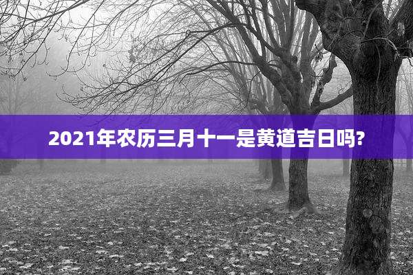 2021年农历三月十一是黄道吉日吗?