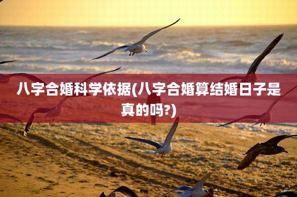 八字合婚科学依据(八字合婚算结婚日子是真的吗?)