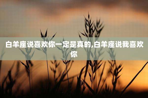 白羊座说喜欢你一定是真的,白羊座说我喜欢你