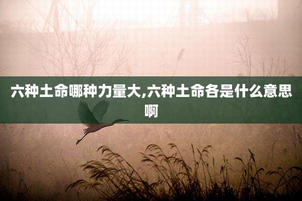 六种土命哪种力量大,六种土命各是什么意思啊