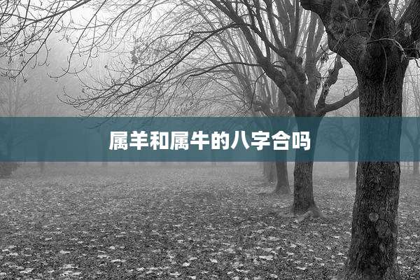 属羊和属牛的八字合吗