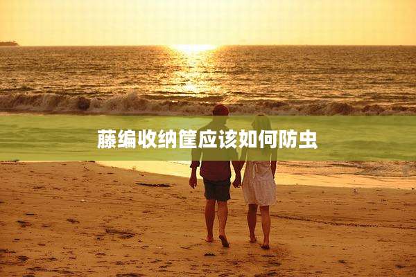 藤编收纳筐应该如何防虫