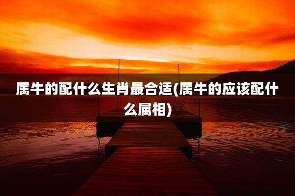 属牛的配什么生肖最合适(属牛的应该配什么属相)