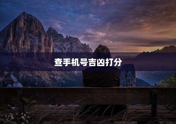 查手机号吉凶打分
