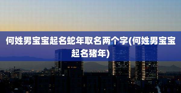 何姓男宝宝起名蛇年取名两个字(何姓男宝宝起名猪年)