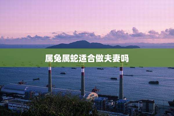 属兔属蛇适合做夫妻吗