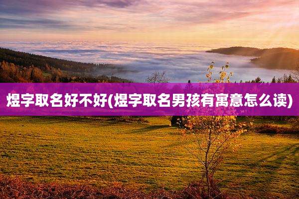 煜字取名好不好(煜字取名男孩有寓意怎么读)