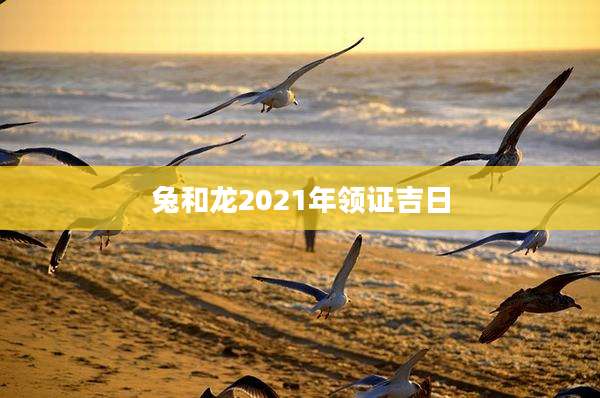 兔和龙2021年领证吉日