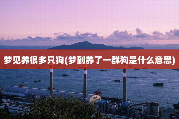 梦见养很多只狗(梦到养了一群狗是什么意思)