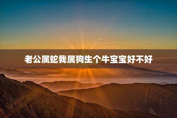 老公属蛇我属狗生个牛宝宝好不好