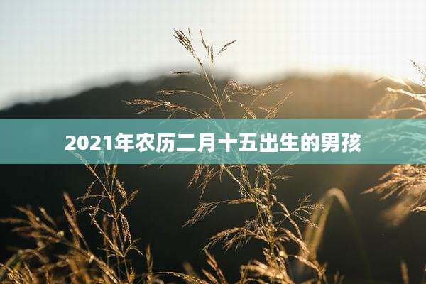 2021年农历二月十五出生的男孩