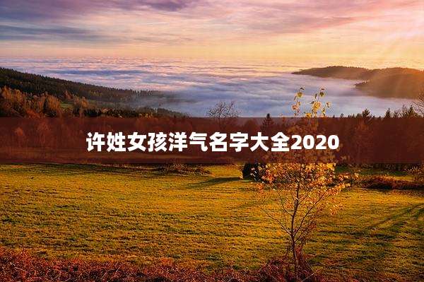 许姓女孩洋气名字大全2020