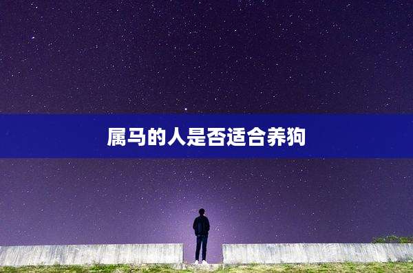 属马的人是否适合养狗