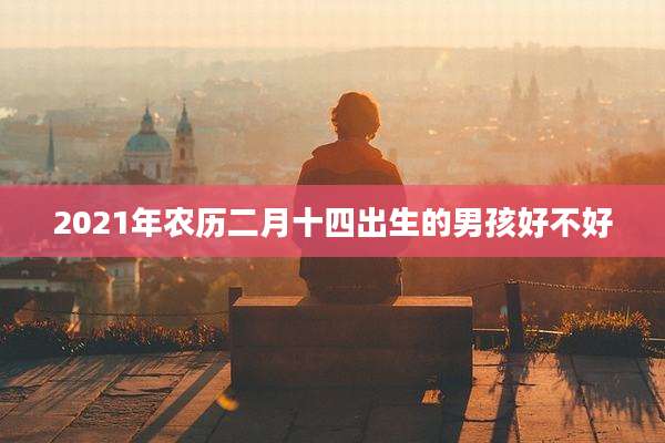 2021年农历二月十四出生的男孩好不好