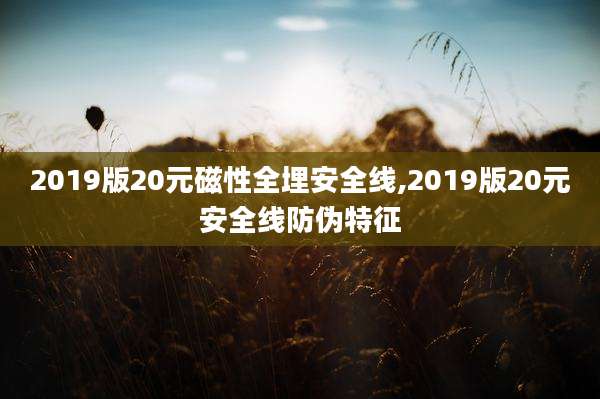 2019版20元磁性全埋安全线,2019版20元安全线防伪特征