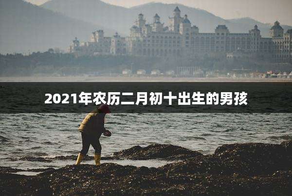 2021年农历二月初十出生的男孩