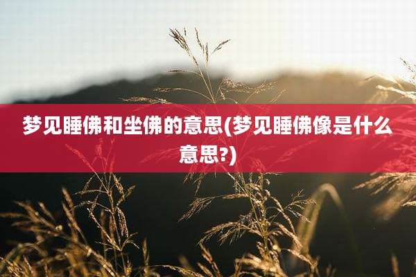 梦见睡佛和坐佛的意思(梦见睡佛像是什么意思?)