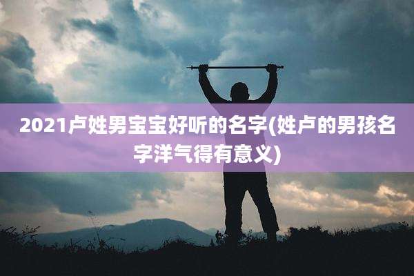 2021卢姓男宝宝好听的名字(姓卢的男孩名字洋气得有意义)