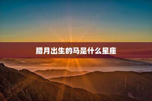 腊月出生的马是什么星座