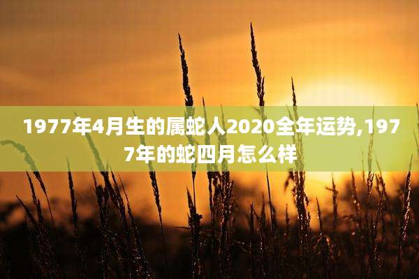 1977年4月生的属蛇人2020全年运势,1977年的蛇四月怎么样