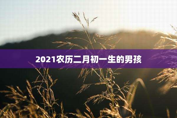 2021农历二月初一生的男孩
