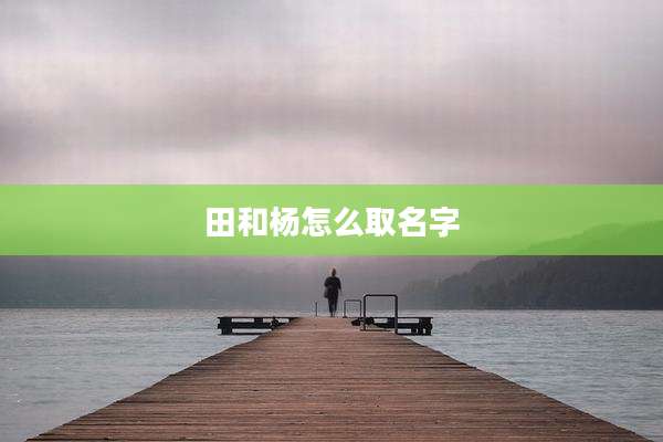 田和杨怎么取名字