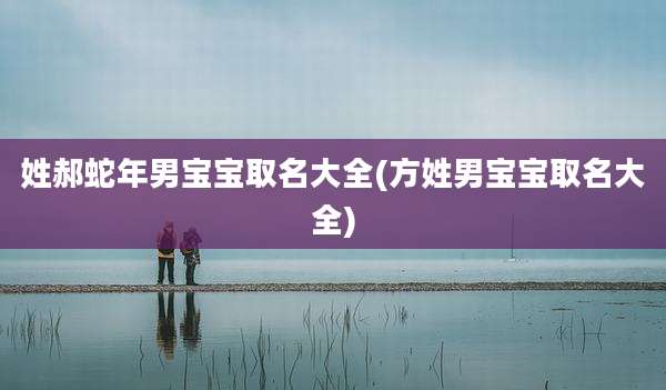 姓郝蛇年男宝宝取名大全(方姓男宝宝取名大全)